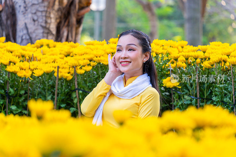 越南女孩穿着传统的ao dai服装，手持花枝在越南享受新年。春节和新年。